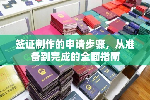 浠水签证制作的申请步骤，从准备到完成的全面指南