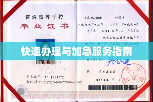 浠水快速办理与加急服务指南