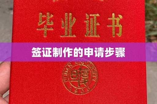 浠水签证制作的申请步骤