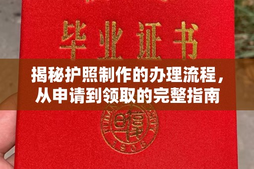 浠水揭秘护照制作的办理流程，从申请到领取的完整指南